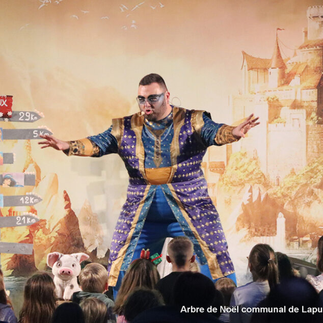 Actu-Facebook251226-Arbre-Noël-251221-12