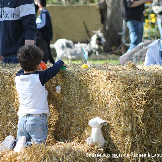 Actu-Facebook260410-Oeufs-Paques-260406-03