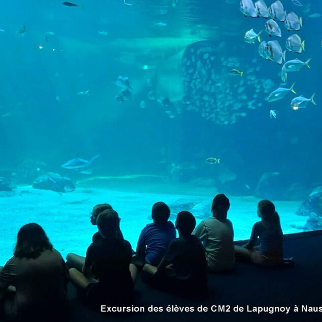Actu-Facebook260709-29-260626-Ecoles-CM2-Nausicaa