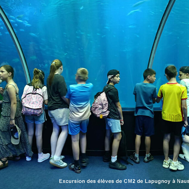 Actu-Facebook260709-31-260626-Ecoles-CM2-Nausicaa