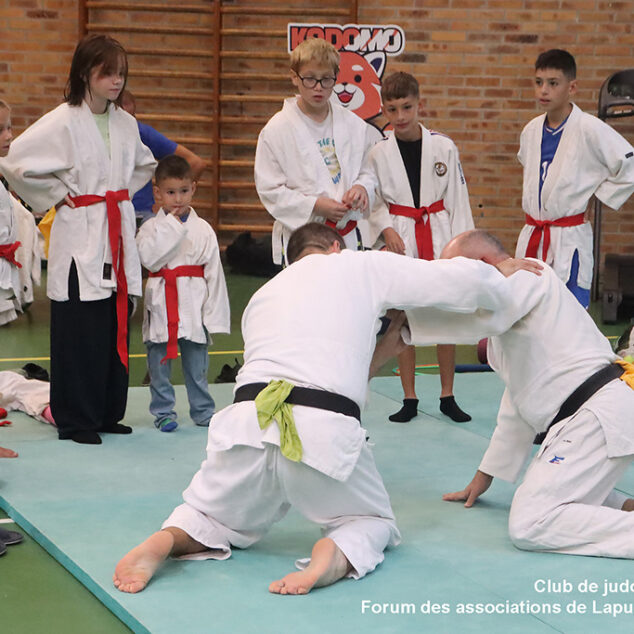 Actu-Facebook261004-Forum-Associations-260829-37-Judo-Jujitsu